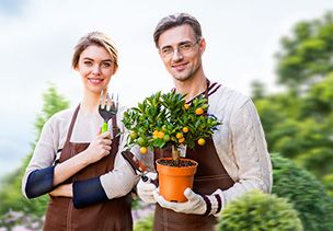 Проект «под ключ» где можно заказать по низкой цене  в Туле