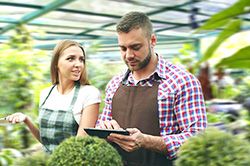 Дендроплан - верное планирование территории и решения этой задачи на уровне  в Туле