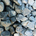 Kamenclub.ru: Щебень галтованный зеленый (змеевик) фр. 50-100 мм.  купить в Туле галтовка мраморная зеленый, салатовый мрамор 12 500 руб/т   фото КАМЕНЬ КЛУБ