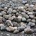 Kamenclub.ru: Речной валун (Ассорти) фр.100-300 мм.  купить в Туле галечник серый, темно-серый, светло-серый речная галька крупных размеров 4200 руб/т   фото КАМЕНЬ КЛУБ