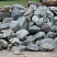 Kamenclub.ru: Гранит скальник (серо-зеленый) фр. 100-500 мм.  купить в Туле гранит зеленый, серый, салатовый крупный ландшафтный валун 6 000 руб/т   фото КАМЕНЬ КЛУБ