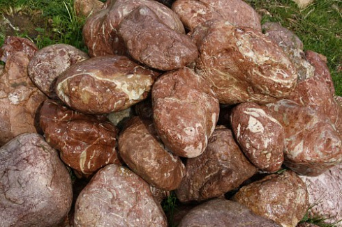 Kamenclub.ru: Розовый валунчик фр.100-300 мм.  купить в Туле крупный природный камень розовый, серый молочный красный речной галечник природный 7850 руб/т   фото КАМЕНЬ КЛУБ