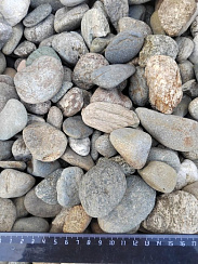 Kamenclub.ru: Галька речная окат (пестрая) фр. 20-40 мм. купить  в Туле галька речная пестрая, серая, серые оттенки галька речная окатанная округлая 5000 руб/т   фото КАМЕНЬ КЛУБ