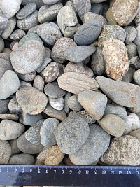 Kamenclub.ru: Галька речная окат (пестрая) фр. 20-40 мм. купить  в Туле галька речная пестрая, серая, серые оттенки галька речная окатанная округлая 5000 руб/т   фото КАМЕНЬ КЛУБ