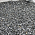 Kamenclub.ru: Щебень крошка черный (мрамор) фр. 10-20 мм.  купить в Туле мрамор черный с белыми прожилками, черный, белый каменная ландшафтная декоративная крошка щебня 11000 руб/т   фото КАМЕНЬ КЛУБ
