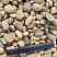 Kamenclub.ru: Галька речная окат рыжая фр. 20-40 мм. купить  в Туле галька речная окатанная рыжая желтая серая округлая речная галька 5000 руб/т   фото КАМЕНЬ КЛУБ