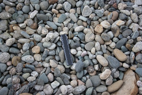 Kamenclub.ru: Галька речная окат (пестрая) фр. 20-40 мм. купить  в Туле галька речная пестрая, серая, серые оттенки галька речная окатанная округлая 5000 руб/т   фото КАМЕНЬ КЛУБ