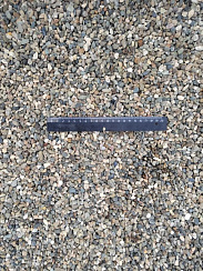 Kamenclub.ru: Галька речная окат (серая) фр.5-10 мм купить  в Туле галька речная серая, серый, темно-серый, светло-серый, коричневый речная окатанная галька декоративная ландшатфная 5000 руб/т   фото КАМЕНЬ КЛУБ