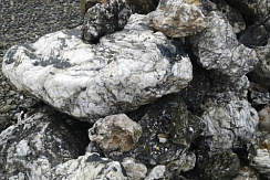 Kamenclub.ru: Черный гранит - кварцит фр. 100-500 мм.  купить в Туле мрамор гранит черный с белыми прожилками, серый, белый валун скальный колотый 7000 руб/т   фото КАМЕНЬ КЛУБ