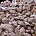Kamenclub.ru: Розовый валунчик фр.100-300 мм.  купить в Туле крупный природный камень розовый, серый молочный красный речной галечник природный 7850 руб/т   фото КАМЕНЬ КЛУБ