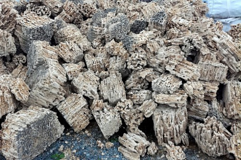 Kamenclub.ru: Крымский природный меотис фр. 100-500 мм.  купить в Туле меотис бежевый рыжий молочный желтый ракушечник 4 500 руб/т   фото КАМЕНЬ КЛУБ