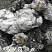 Kamenclub.ru: Черный гранит - кварцит фр. 100-500 мм.  купить в Туле мрамор гранит черный с белыми прожилками, серый, белый валун скальный колотый 7000 руб/т   фото КАМЕНЬ КЛУБ