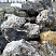 Kamenclub.ru: Черный гранит - кварцит фр. 500-1000 мм.  купить в Туле гранит кварцит черный серый белый скальный колотый валун 9750 руб/т   фото КАМЕНЬ КЛУБ