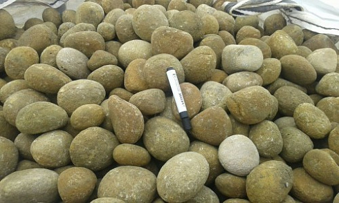 Kamenclub.ru: Песчаник ядра, фр. 100-300 мм  купить в Туле песчаник бежевый серый рыжий речная галька 5 000 руб/т   фото КАМЕНЬ КЛУБ