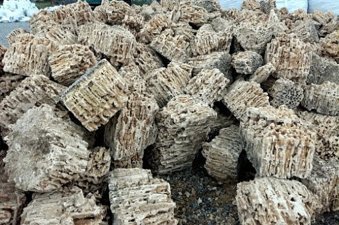 Kamenclub.ru: Крымский природный меотис фр. 100-500 мм.  купить в Туле меотис бежевый рыжий молочный желтый ракушечник 4 500 руб/т   фото КАМЕНЬ КЛУБ