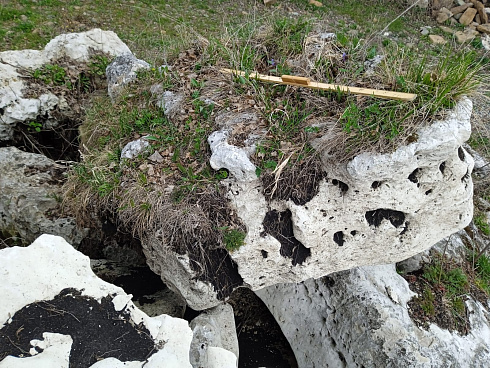 Kamenclub.ru: Выветренный известняк со мхом фр. 100-500 мм.  купить в Туле известняк серый белый зеленый валун известняковый крупный 10000 руб/т   фото КАМЕНЬ КЛУБ