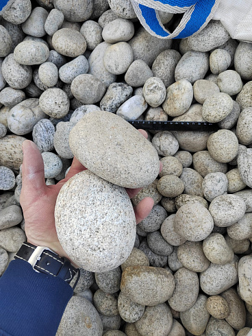 Kamenclub.ru: Галька речная окат (серо-белая) фр. 70-120 мм купить  в Туле галька галечник бело-серая, серо-белая, серая, белая речная природная галька  8000 руб/т   фото КАМЕНЬ КЛУБ