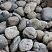 Kamenclub.ru: Темно-серый валунчик фр.100-300 мм.  купить в Туле крупный природный камень серый, темно-серый, светло-серый речная галька большого размера окатанная 4500 руб/т   фото КАМЕНЬ КЛУБ