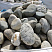 Kamenclub.ru: Речной валун (Ассорти) фр.100-300 мм.  купить в Туле галечник серый, темно-серый, светло-серый речная галька крупных размеров 4200 руб/т   фото КАМЕНЬ КЛУБ