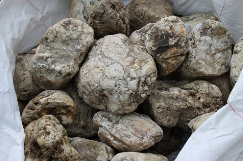 Kamenclub.ru: Кварцевый валунчик фр.100-300 мм.  купить в Туле кварц белый, бежевый молочный рыжий крупный природный камень галечник 7850 руб/т   фото КАМЕНЬ КЛУБ