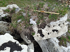 Kamenclub.ru: Выветренный известняк (степной) фр. 500-1500 мм.  купить в Туле    10000 руб/т   фото КАМЕНЬ КЛУБ