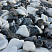 Kamenclub.ru: Мраморная крошка (щебень галтованный микс:: белый-черный) фр.20-40 мм  купить в Туле мрамор белый, черный мраморный галтованный щебень 15500 руб/т   фото КАМЕНЬ КЛУБ