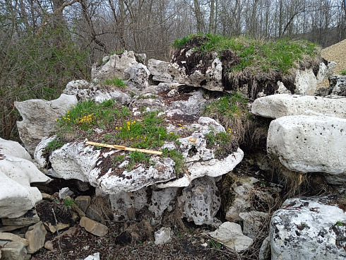 Kamenclub.ru: Выветренный известняк со мхом фр. 100-500 мм.  купить в Туле известняк серый белый зеленый валун известняковый крупный 10000 руб/т   фото КАМЕНЬ КЛУБ