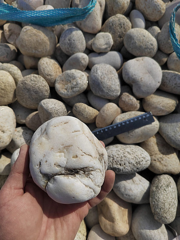 Kamenclub.ru: Галька речная окат (серо-белая) фр. 70-120 мм купить  в Туле галька галечник бело-серая, серо-белая, серая, белая речная природная галька  8000 руб/т   фото КАМЕНЬ КЛУБ