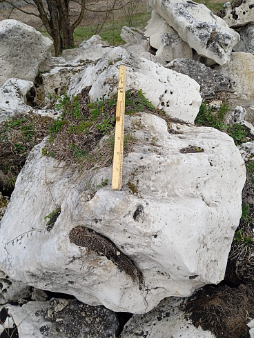 Kamenclub.ru: Выветренный известняк со мхом фр. 100-500 мм.  купить в Туле известняк серый белый зеленый валун известняковый крупный 10000 руб/т   фото КАМЕНЬ КЛУБ