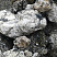 Kamenclub.ru: Черный гранит - кварцит фр. 100-500 мм.  купить в Туле мрамор гранит черный с белыми прожилками, серый, белый валун скальный колотый 7000 руб/т   фото КАМЕНЬ КЛУБ