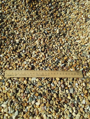 Kamenclub.ru: Галька окат (серо-желтая) фр.5-10 мм. купить  в Туле галька речная рыжий, желтый, рыжий, серо-желтый речная окатанная галька декоративная 5000 руб/т   фото КАМЕНЬ КЛУБ