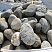 Kamenclub.ru: Речной валун (Ассорти) фр.100-300 мм.  купить в Туле галечник серый, темно-серый, светло-серый речная галька крупных размеров 4200 руб/т   фото КАМЕНЬ КЛУБ