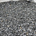 Kamenclub.ru: Щебень крошка черный (мрамор) фр. 5-10 мм.  купить в Туле мрамор черный с белыми прожилками, черный, белый мраморная крошка декоративная ландшафтная 11000 руб/т   фото КАМЕНЬ КЛУБ