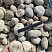 Kamenclub.ru: Галька речная окат (серо-белая) фр. 70-120 мм купить  в Туле галька галечник бело-серая, серо-белая, серая, белая речная природная галька  8000 руб/т   фото КАМЕНЬ КЛУБ