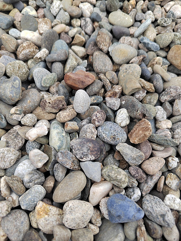 Kamenclub.ru: Галька речная окат (серая) фр.10-20 мм купить  в Туле галька речная серая, серый, темно-серый, светло-серый, коричневый ландшафтная декоративная речная окатанная округлая галька 5000 руб/т   фото КАМЕНЬ КЛУБ