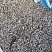 Kamenclub.ru: Галька речная окат (серая) фр.3-5 мм купить  в Туле галька речная серая бежевый темно-серый окатанный речной камень округлый 9500 руб/т   фото КАМЕНЬ КЛУБ