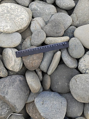 Kamenclub.ru: Галька речная плоская (ассорти) фр. 70-150 мм. купить в Туле галька галечник серый белый темно-серый синий светло-серый плоская природная галька  9000 руб/т   фото КАМЕНЬ КЛУБ