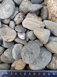 Kamenclub.ru: Галька речная окат (серая) фр.40-60 мм купить  в Туле галька речная серый бежевый рыжий коричневый округлый речной камень 5000 руб/т   фото КАМЕНЬ КЛУБ