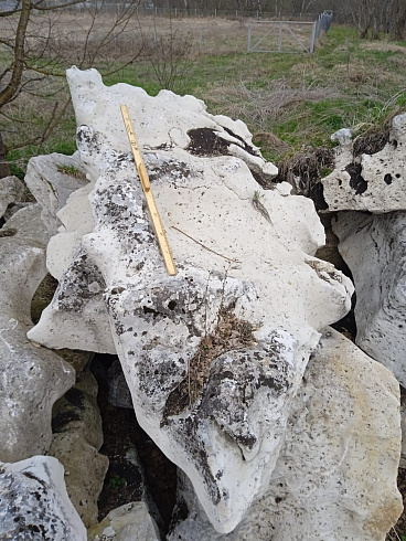 Kamenclub.ru: Выветренный известняк со мхом фр. 100-500 мм.  купить в Туле известняк серый белый зеленый валун известняковый крупный 10000 руб/т   фото КАМЕНЬ КЛУБ