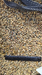 Kamenclub.ru: Галька окат (серо-желтая) фр.5-10 мм. купить  в Туле галька речная рыжий, желтый, рыжий, серо-желтый речная окатанная галька декоративная 5000 руб/т   фото КАМЕНЬ КЛУБ