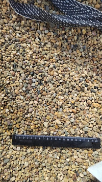 Kamenclub.ru: Галька окат (серо-желтая) фр.5-10 мм. купить  в Туле галька речная рыжий, желтый, рыжий, серо-желтый речная окатанная галька декоративная 5000 руб/т   фото КАМЕНЬ КЛУБ