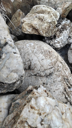 Kamenclub.ru: Кварцевый валунчик фр.100-300 мм.  купить в Туле кварц белый, бежевый молочный рыжий крупный природный камень галечник 7850 руб/т   фото КАМЕНЬ КЛУБ