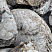 Kamenclub.ru: Кварцевый валунчик фр.100-300 мм.  купить в Туле кварц белый, бежевый молочный рыжий крупный природный камень галечник 7850 руб/т   фото КАМЕНЬ КЛУБ