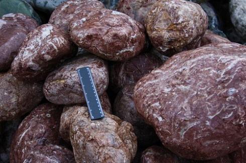 Kamenclub.ru: Розовый валунчик фр.100-300 мм.  купить в Туле крупный природный камень розовый, серый молочный красный речной галечник природный 7850 руб/т   фото КАМЕНЬ КЛУБ