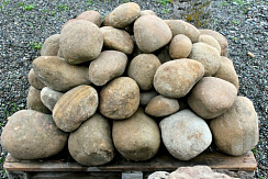 Kamenclub.ru: Песчаник ядра, фр. 100-300 мм  купить в Туле песчаник бежевый серый рыжий речная галька 5 000 руб/т   фото КАМЕНЬ КЛУБ
