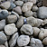 Kamenclub.ru: Речной валун (Ассорти) фр.100-300 мм.  купить в Туле галечник серый, темно-серый, светло-серый речная галька крупных размеров 4200 руб/т   фото КАМЕНЬ КЛУБ