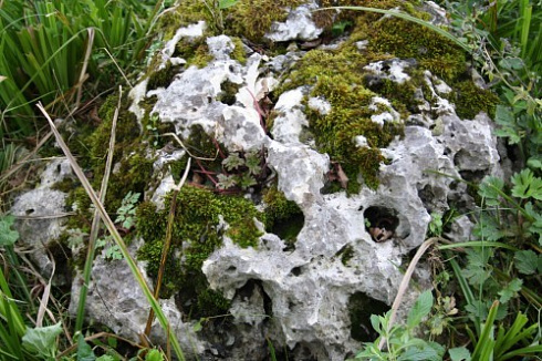 Kamenclub.ru: Выветренный известняк со мхом фр. 100-500 мм.  купить в Туле известняк серый белый зеленый валун известняковый крупный 10000 руб/т   фото КАМЕНЬ КЛУБ