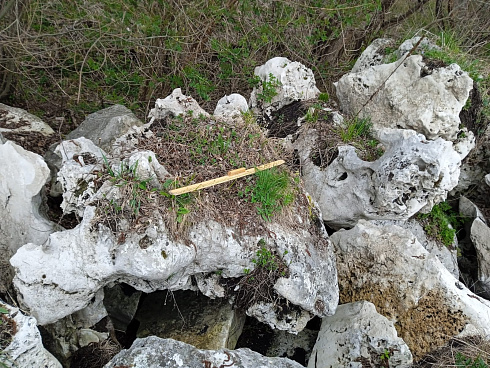 Kamenclub.ru: Выветренный известняк (степной) фр. 500-1500 мм.  купить в Туле    10000 руб/т   фото КАМЕНЬ КЛУБ