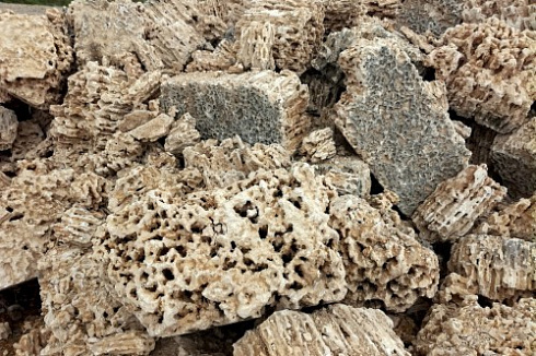 Kamenclub.ru: Крымский природный меотис фр. 100-500 мм.  купить в Туле меотис бежевый рыжий молочный желтый ракушечник 4 500 руб/т   фото КАМЕНЬ КЛУБ