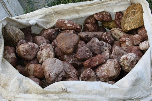 Kamenclub.ru: Розовый валунчик фр.100-300 мм.  купить в Туле крупный природный камень розовый, серый молочный красный речной галечник природный 7850 руб/т   фото КАМЕНЬ КЛУБ